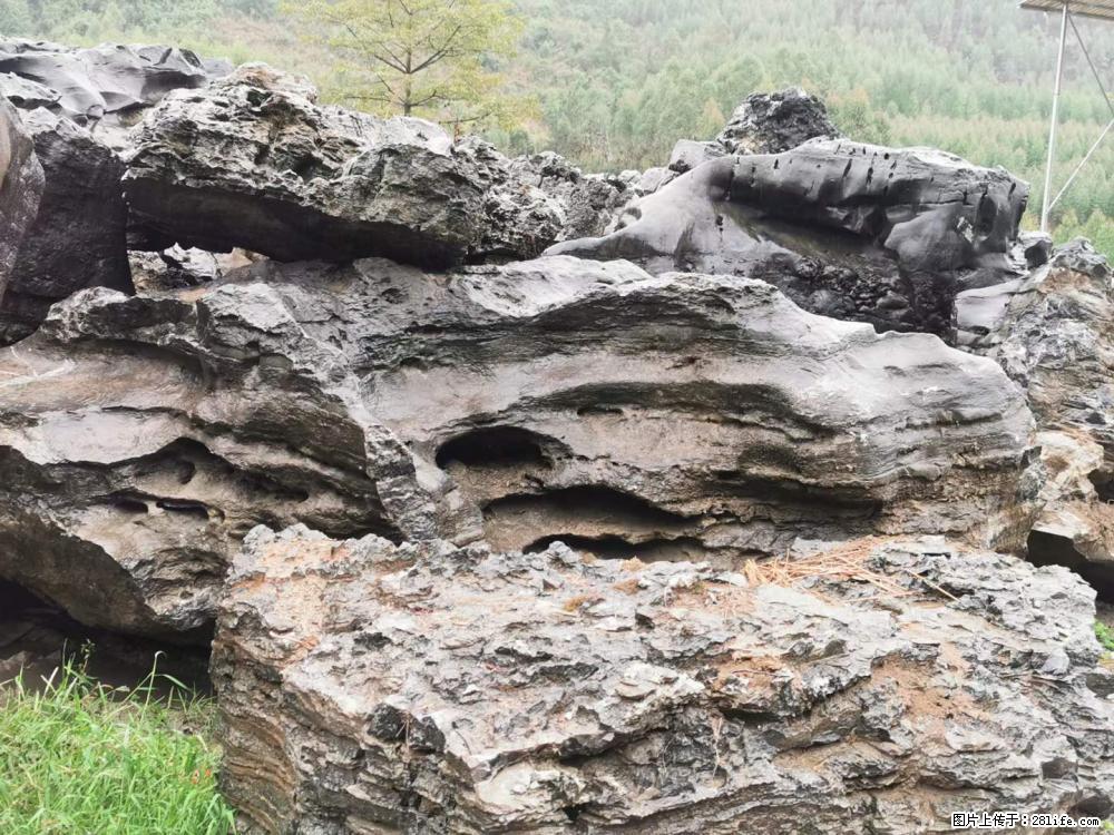 风景石、假山石大量有货，有需要的欢迎联系 - 新手上路 - 宣城生活社区 - 宣城28生活网 xuancheng.28life.net