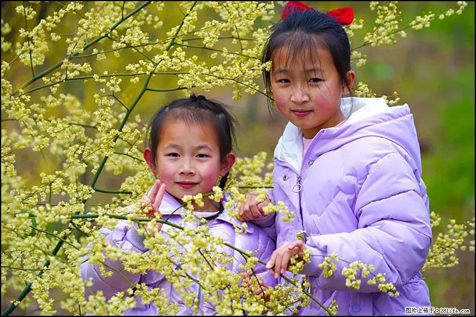 【春天，广西桂林灌阳县向您发出邀请！】米珠山前有片山苍子花在飘香 - 游山玩水 - 宣城生活社区 - 宣城28生活网 xuancheng.28life.net