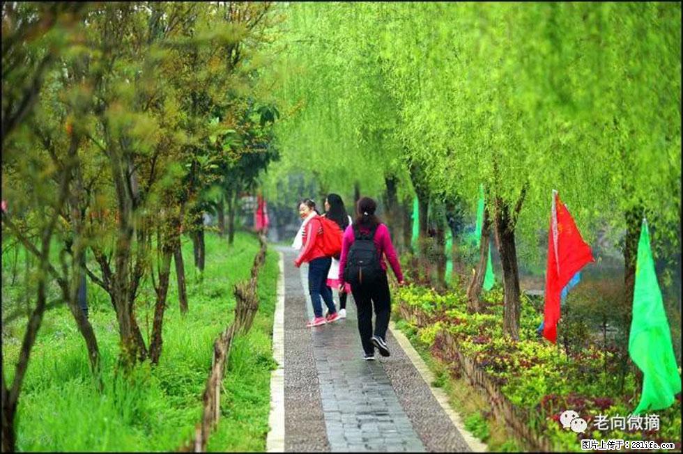 【春天，广西桂林灌阳县向您发出邀请！】江口老街又逢春 - 游山玩水 - 宣城生活社区 - 宣城28生活网 xuancheng.28life.net