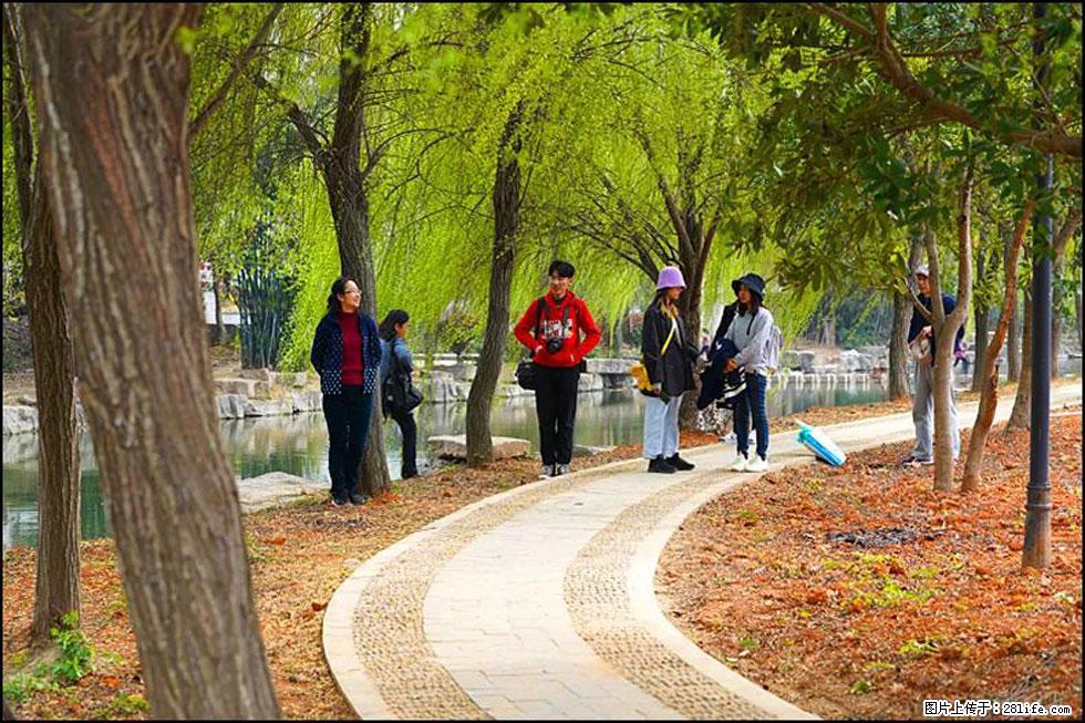 【春天，广西桂林灌阳县向您发出邀请！】江口老街又逢春 - 游山玩水 - 宣城生活社区 - 宣城28生活网 xuancheng.28life.net