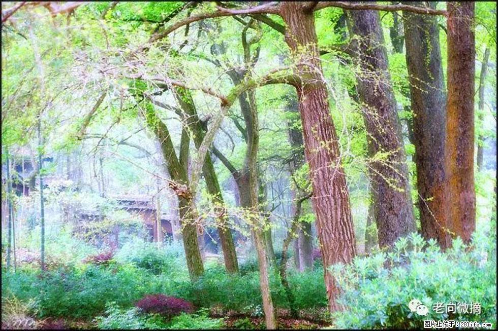【春天，广西桂林灌阳县向您发出邀请！】在小龙村与春天约会 - 游山玩水 - 宣城生活社区 - 宣城28生活网 xuancheng.28life.net