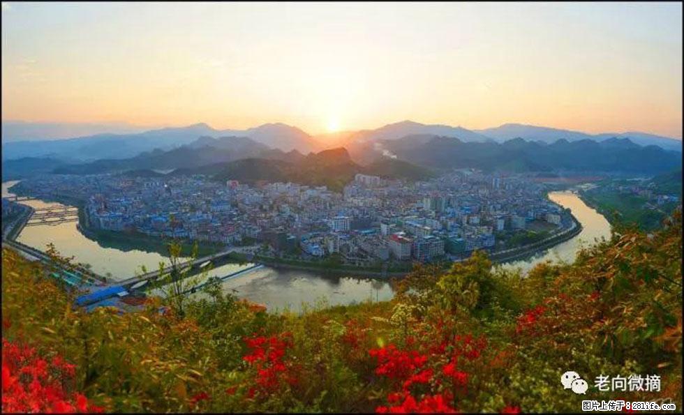 【春天，广西桂林灌阳县向您发出邀请！】登麒麟山，相约映山红 - 游山玩水 - 宣城生活社区 - 宣城28生活网 xuancheng.28life.net
