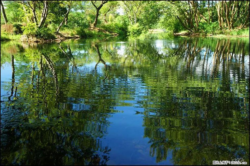 【春天，广西桂林灌阳县向您发出邀请！】熊家寨湿地公园 - 游山玩水 - 宣城生活社区 - 宣城28生活网 xuancheng.28life.net