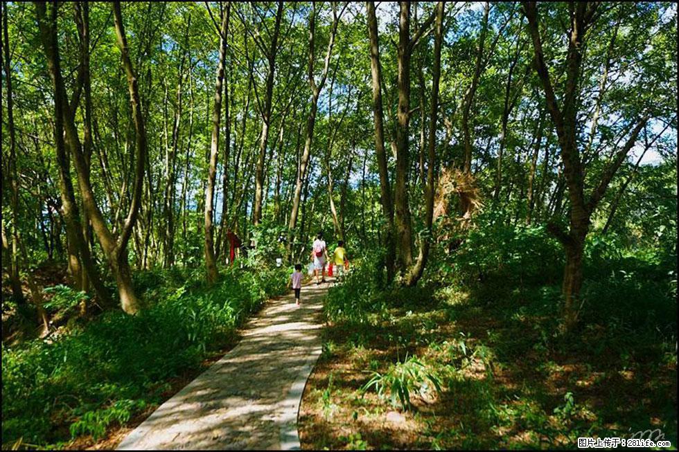 【春天，广西桂林灌阳县向您发出邀请！】熊家寨湿地公园 - 游山玩水 - 宣城生活社区 - 宣城28生活网 xuancheng.28life.net