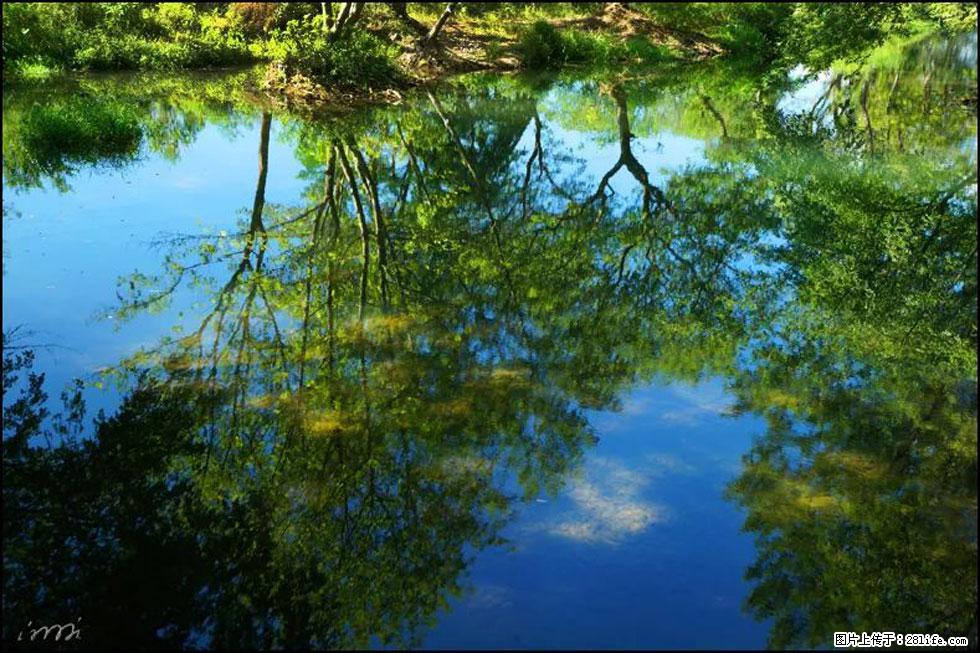 【春天，广西桂林灌阳县向您发出邀请！】熊家寨湿地公园 - 游山玩水 - 宣城生活社区 - 宣城28生活网 xuancheng.28life.net