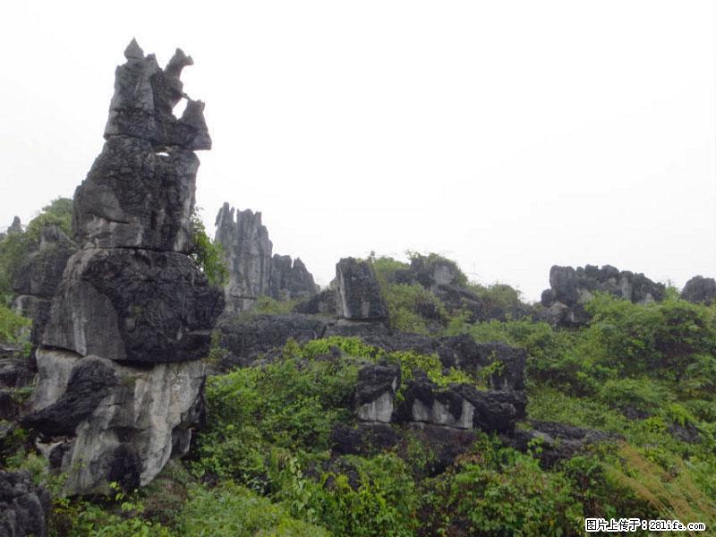 桂林旅游名城景点：灌阳文市石林 - 游山玩水 - 宣城生活社区 - 宣城28生活网 xuancheng.28life.net