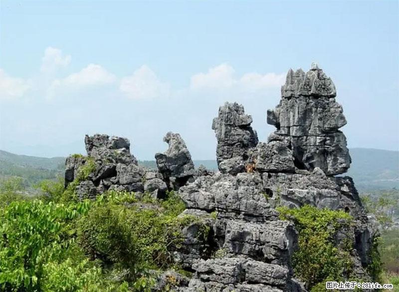 桂林旅游名城景点：灌阳文市石林 - 游山玩水 - 宣城生活社区 - 宣城28生活网 xuancheng.28life.net