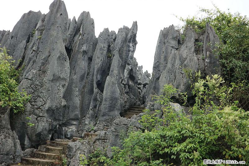 桂林旅游名城景点：灌阳文市石林 - 游山玩水 - 宣城生活社区 - 宣城28生活网 xuancheng.28life.net