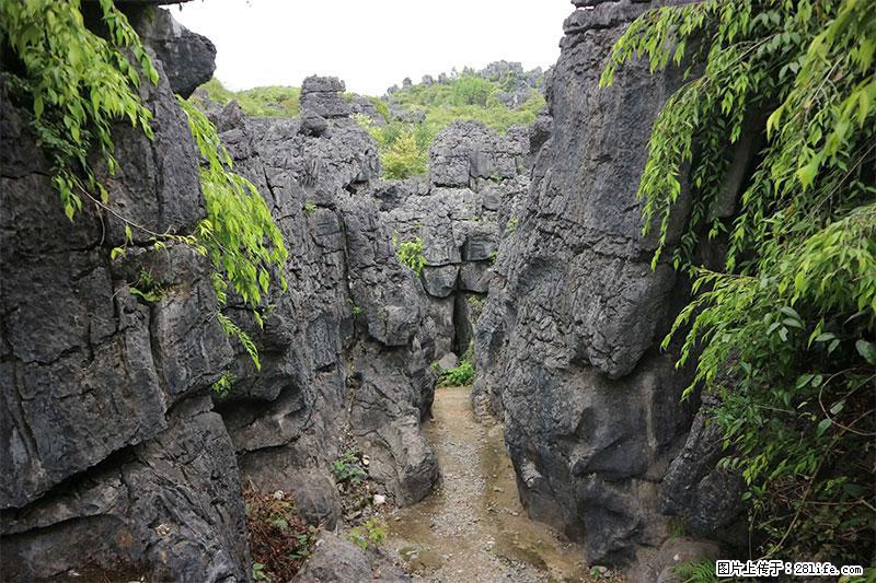桂林旅游名城景点：灌阳文市石林 - 游山玩水 - 宣城生活社区 - 宣城28生活网 xuancheng.28life.net