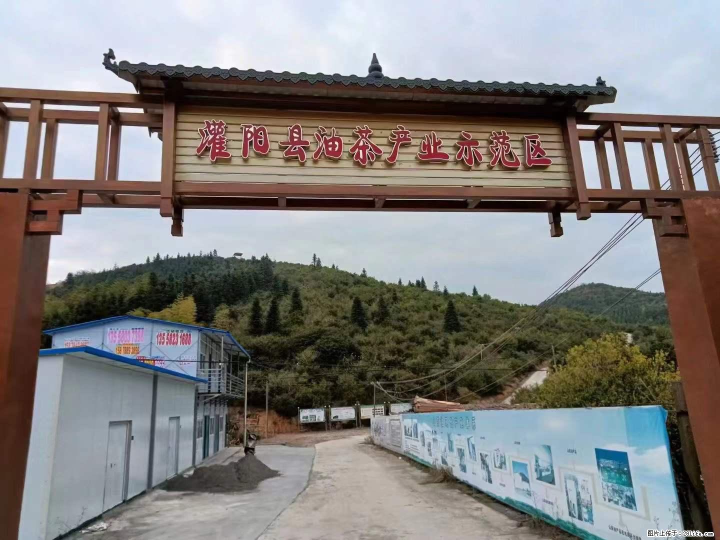 【灌阳县油茶产业示范区】一个有着充实的精神生活的人，对待身外之物自会有一种淡泊的态度 - 土特产 - 饮食特产 - 宣城分类信息 - 宣城28生活网 xuancheng.28life.net