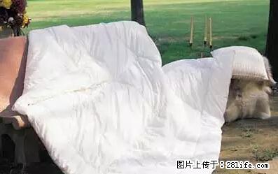 被子有异味？只要这样做，比晒太阳还强100倍！ - 家居生活 - 宣城生活社区 - 宣城28生活网 xuancheng.28life.net