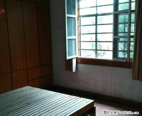 市中心 中等装修 价格便宜，紧邻台 ，临近国购 - 房屋出租 - 房屋租售 - 宣城分类信息 - 宣城28生活网 xuancheng.28life.net