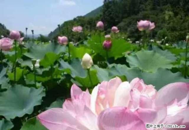 九州东苑3室2厅5楼 中装设施齐全1200月 - 房屋出租 - 房屋租售 - 宣城分类信息 - 宣城28生活网 xuancheng.28life.net
