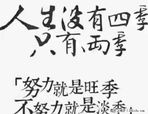 错不了内铁路宿舍 5楼 中装 设全（冰箱没有） - 房屋出租 - 房屋租售 - 宣城分类信息 - 宣城28生活网 xuancheng.28life.net