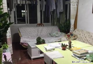西林工行宿舍 两室两厅 精装齐全 1400 - 宣城28生活网 xuancheng.28life.net
