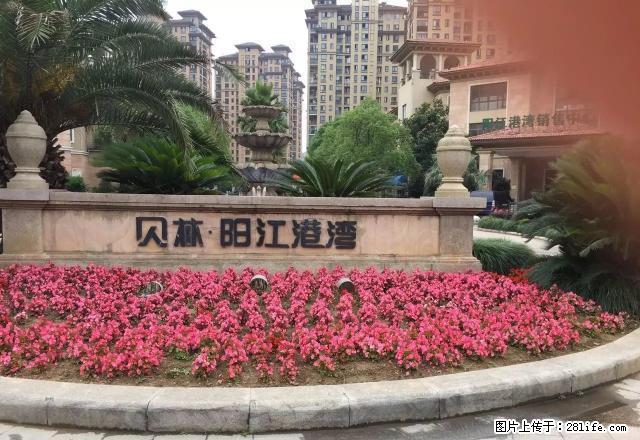 东门高档小区，舍和陪读，上班族，紧邻新医院，新房出租 - 房屋出租 - 房屋租售 - 宣城分类信息 - 宣城28生活网 xuancheng.28life.net