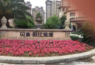 东门高档小区，舍和陪读，上班族，紧邻新医院，新房出租 - 宣城28生活网 xuancheng.28life.net