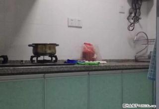 创业中心 单身公寓 精装 市中心 位置好 - 宣城28生活网 xuancheng.28life.net