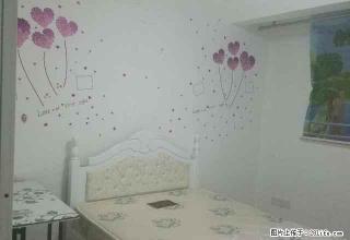 创业中心 标准单身公寓 大窗户有阳台 实拍图 拎包住可短租 - 宣城28生活网 xuancheng.28life.net