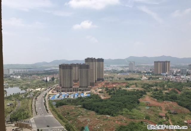 东门青年路对面金鄂商都 多层两室 老式装修 家电齐全 - 房屋出租 - 房屋租售 - 宣城分类信息 - 宣城28生活网 xuancheng.28life.net