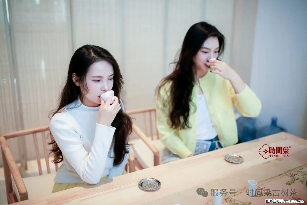 时间果百年古树龙珠普洱生茶 - 购物交流 - 宣城生活社区 - 宣城28生活网 xuancheng.28life.net