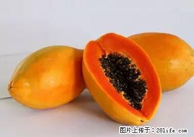 晕车、脚气、牙齿变黄、皮肤粗糙？学会这些三分钟搞定！ - 宣城生活资讯 - 宣城28生活网 xuancheng.28life.net