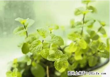 晕车、脚气、牙齿变黄、皮肤粗糙？学会这些三分钟搞定！ - 宣城生活资讯 - 宣城28生活网 xuancheng.28life.net
