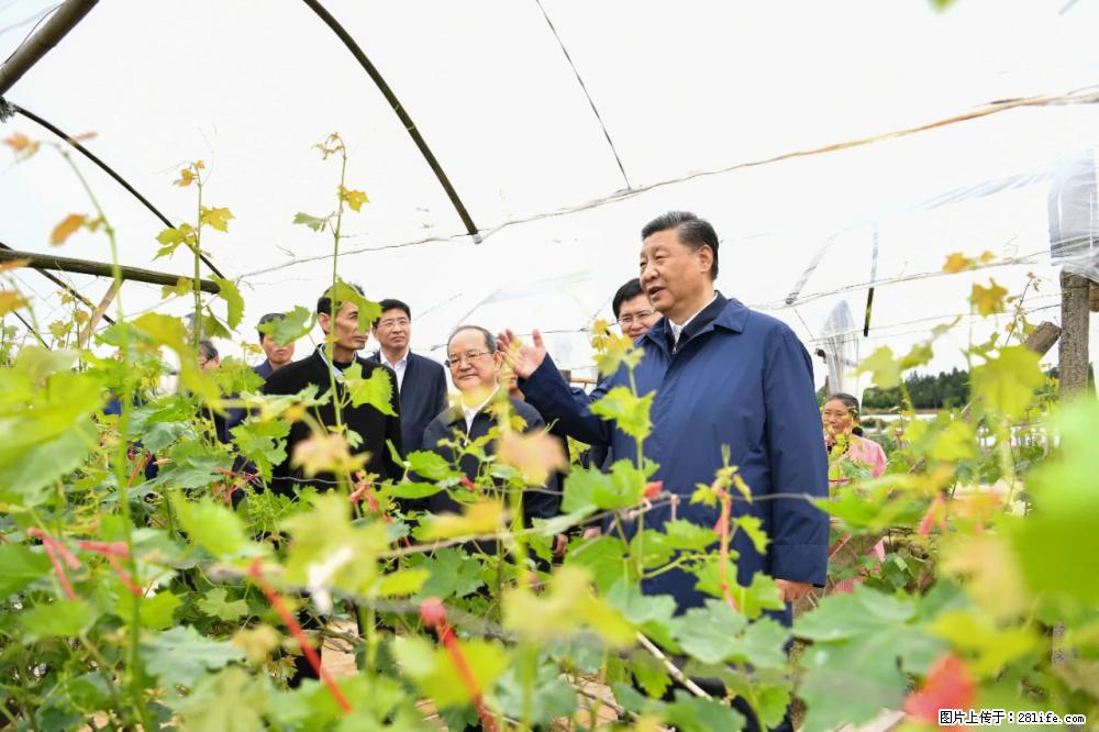 习近平赴广西考察调研 - 宣城生活资讯 - 宣城28生活网 xuancheng.28life.net