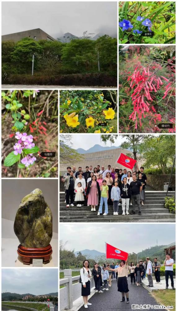 “粤灌文化 美好生活”油茶文化主题活动在广东深圳成功举办 - 宣城生活资讯 - 宣城28生活网 xuancheng.28life.net