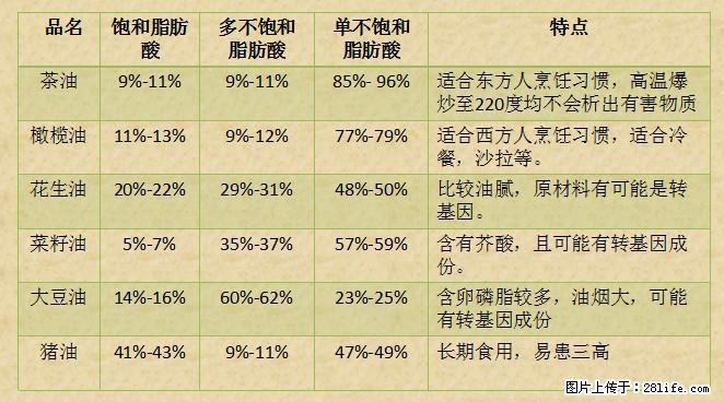 揭秘茶油的5大核心营养成分！被称为人体健康的“守护盾”！ - 宣城生活资讯 - 宣城28生活网 xuancheng.28life.net