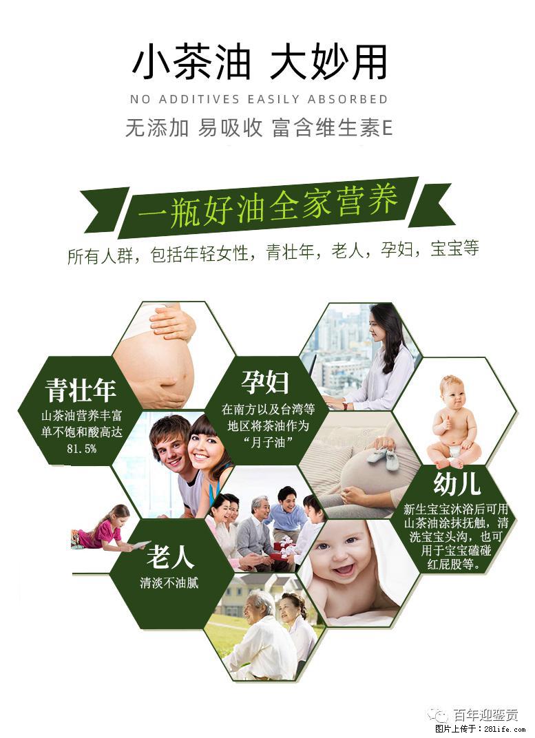 世界没有真相，只有认知，最好的食用油是中国的山茶油！ - 宣城生活资讯 - 宣城28生活网 xuancheng.28life.net