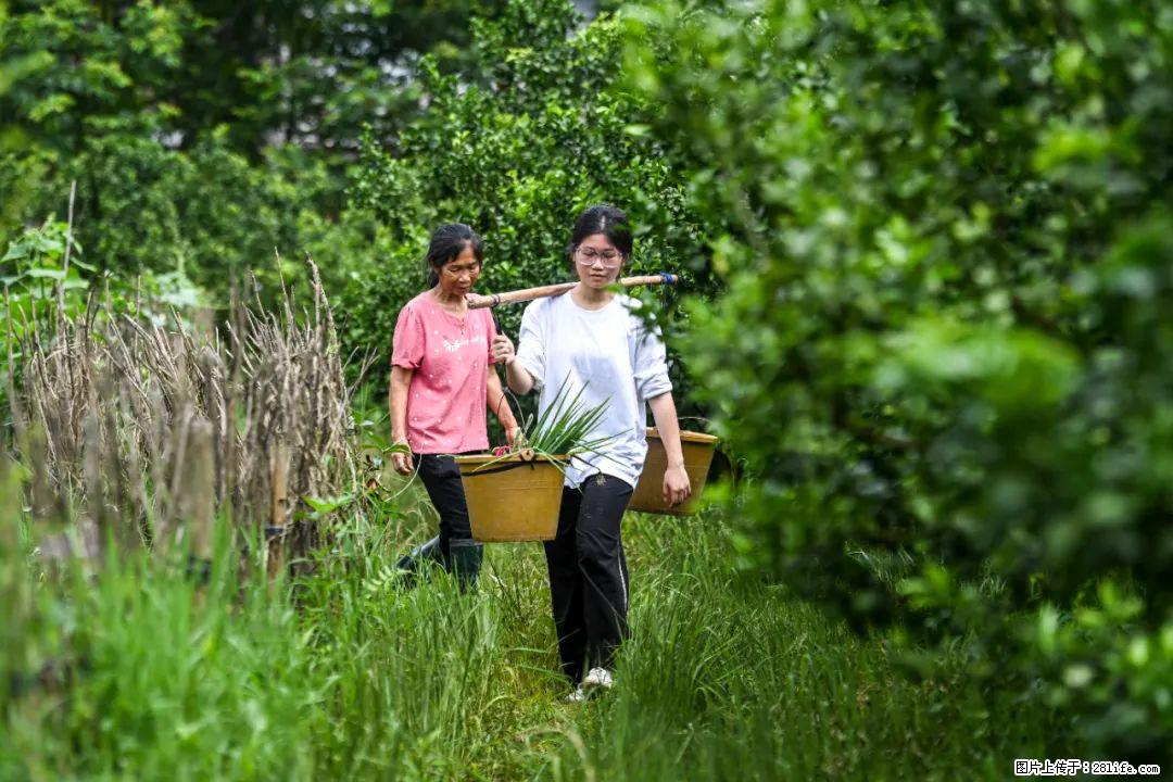 全网追的“扁担女孩”，找了一份暑假工，时薪12元 - 宣城生活资讯 - 宣城28生活网 xuancheng.28life.net