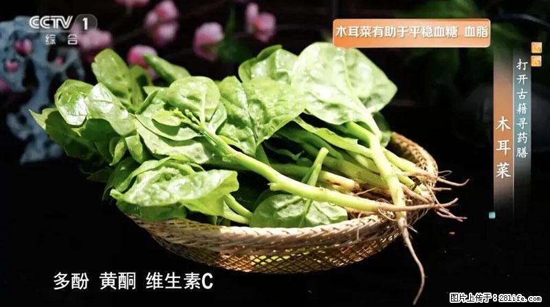 比牛奶补钙还厉害！凉血解毒、稳血糖...这菜冬天必吃，很多人却当草 - 宣城生活资讯 - 宣城28生活网 xuancheng.28life.net