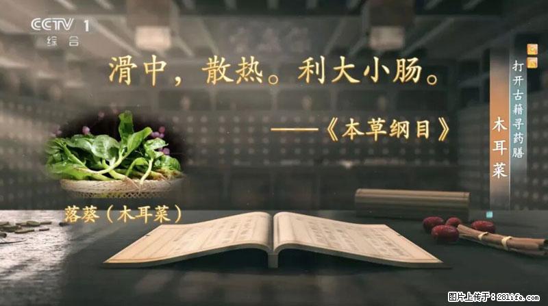 比牛奶补钙还厉害！凉血解毒、稳血糖...这菜冬天必吃，很多人却当草 - 宣城生活资讯 - 宣城28生活网 xuancheng.28life.net