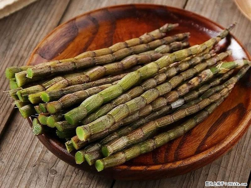 铁皮石斛的作用与功能主治 - 宣城生活资讯 - 宣城28生活网 xuancheng.28life.net